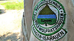 Ranger kümmern sich um die neue Isar.